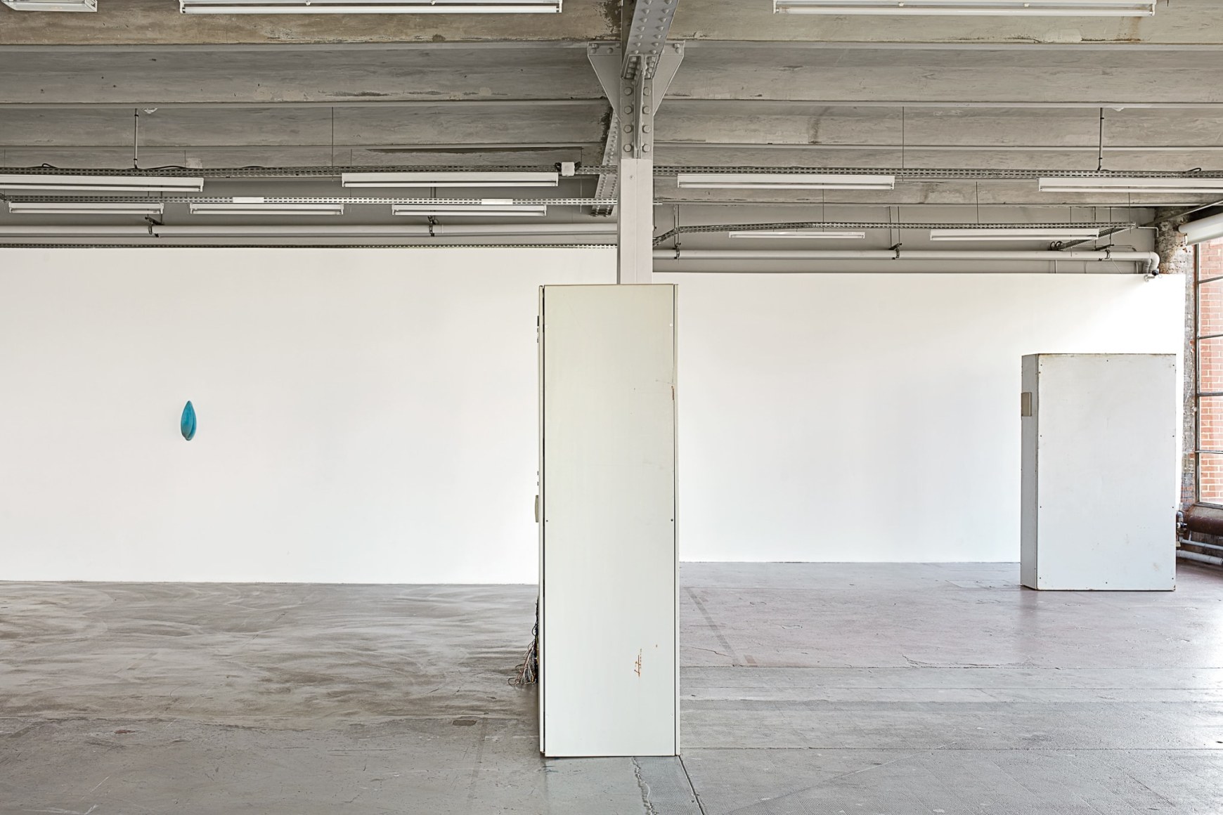 Nina Canell, Installation view: Dolphin Dandelion, Le Crédac, Paris Ivry-sur-Seine, 2017