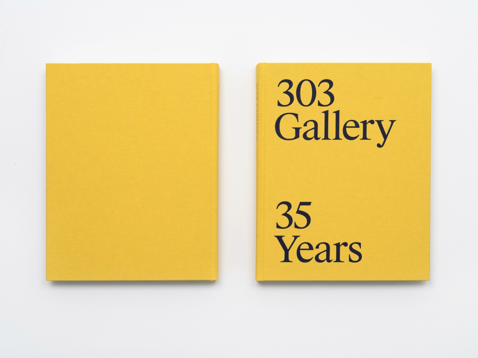 303 Gallery: 35 Years