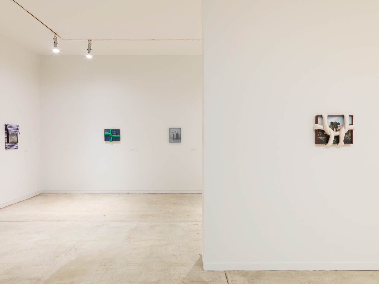 Installation view of Elad Lassry, exhibition at the Vancouver Art Gallery, June 24 to October 1, 2017