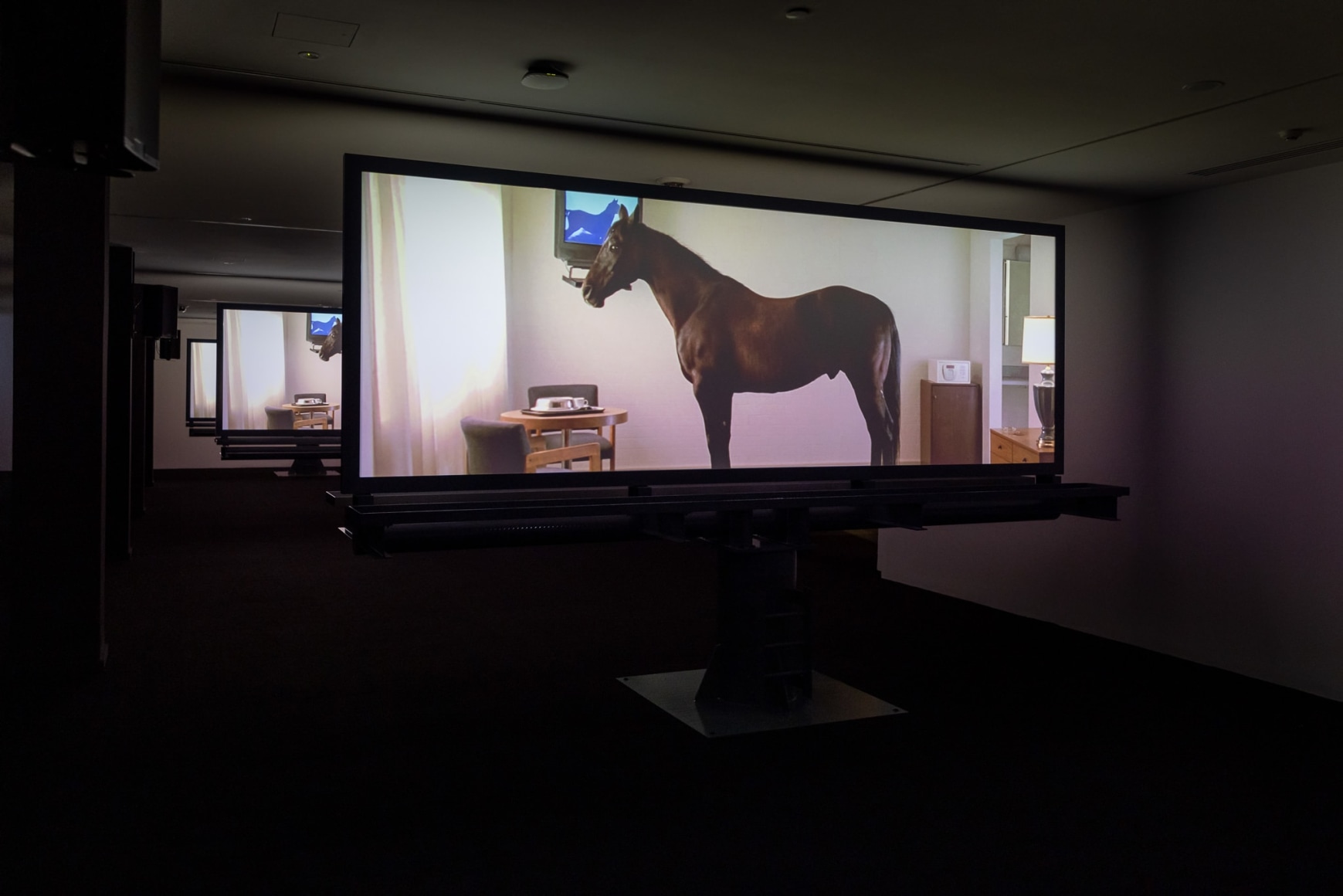 Doug Aitken: New Era, installation view, Museum of Contemporary Art Australia, Sydney, 2021, Photo: Dan Boud