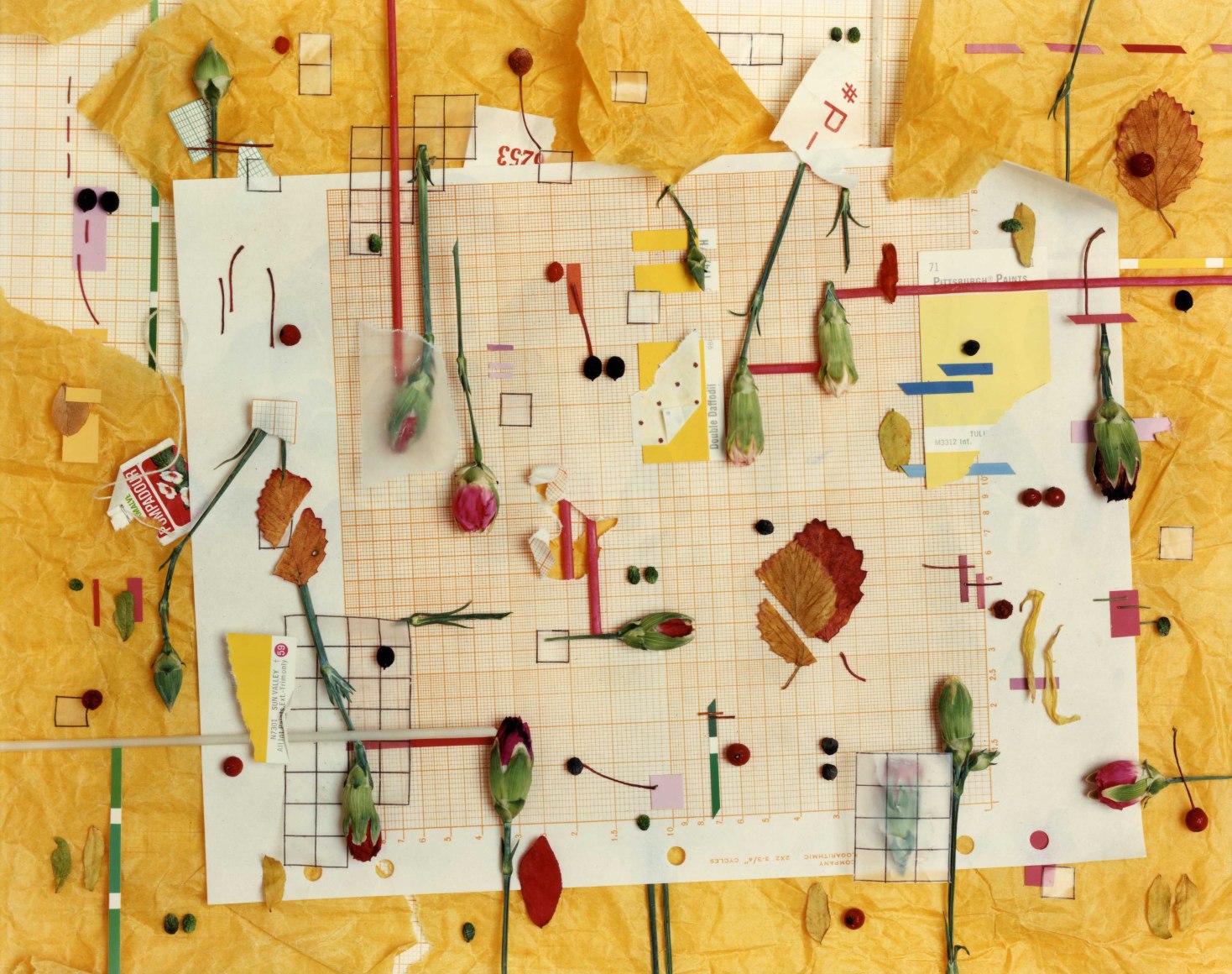 Bruce Wrighton Still Life