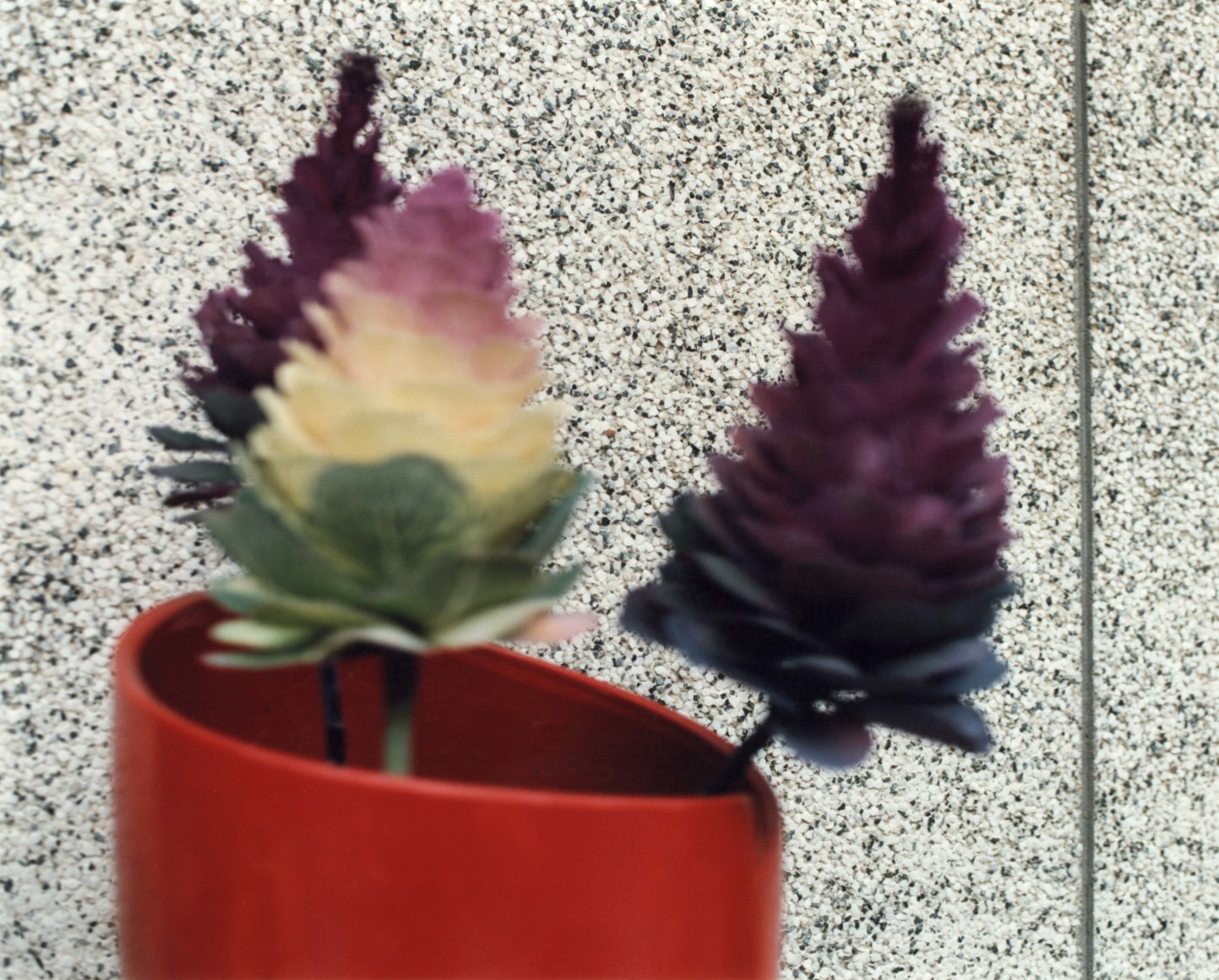 Nagoya City, Aichi Prefecture, 2019