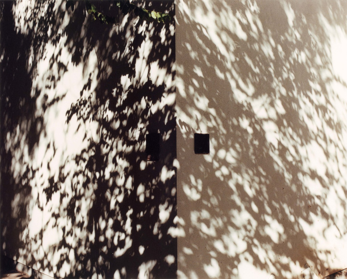 Yoko Ikeda Fresno, CA USA 2014 Type-c print