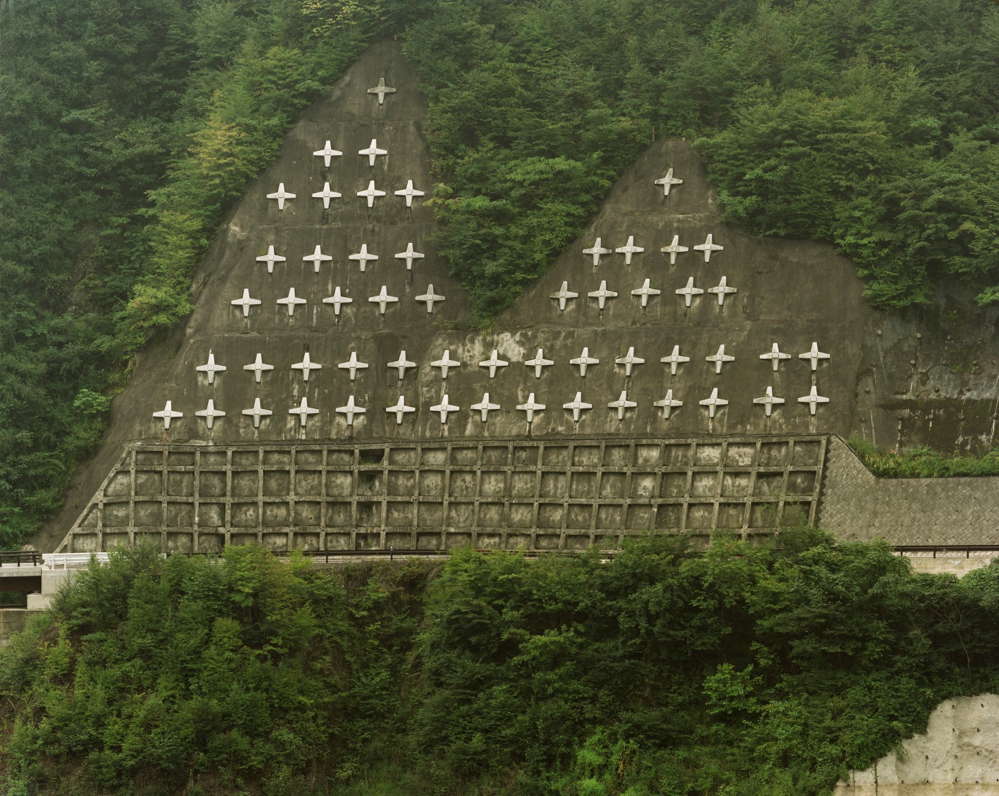 Color photo of a steep forested hillside with anti-erosion engineering over a roadway in a mountainous area.