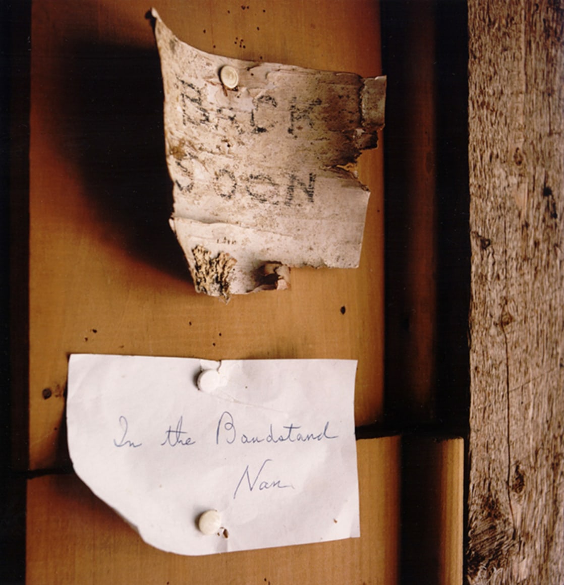 David Graham Notes, Placentia Island, ME, 1995-96