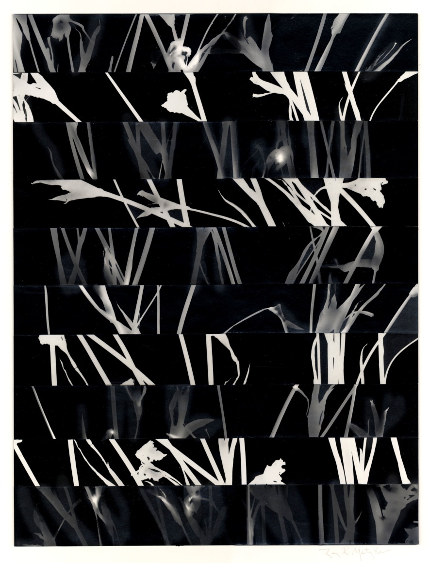 Ray Metzker, Loveletter, 2000-2006