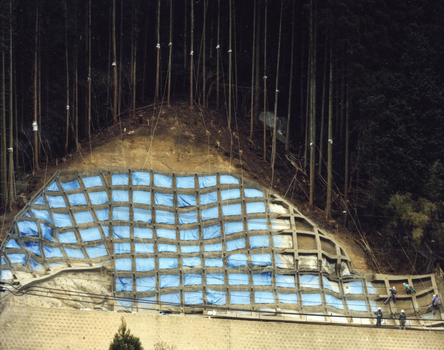 Toshio Shibata, Karatsu City, Saga Prefecture, 2010
