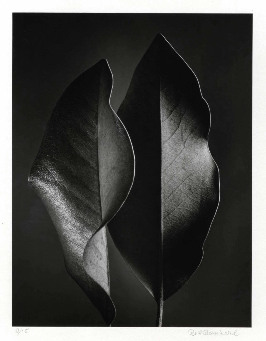 Ruth Bernhard, The Gift of the Commonplace, 1935-1970 (published 1976)