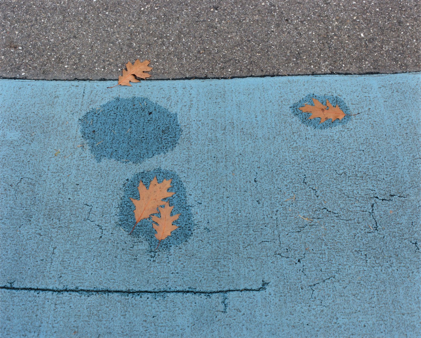 Otterlo, The Netherlands, 2013