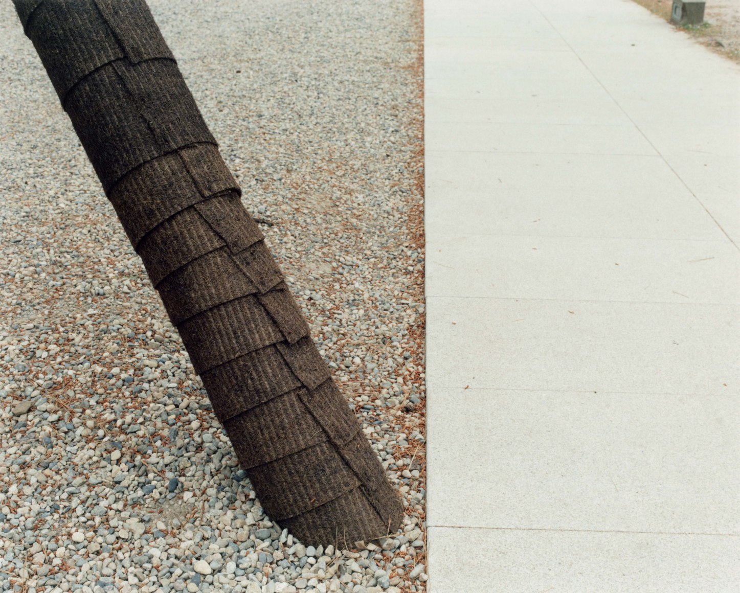 Yoko Ikeda Izumo City, Shimane Prefecture 2014 Type-c print