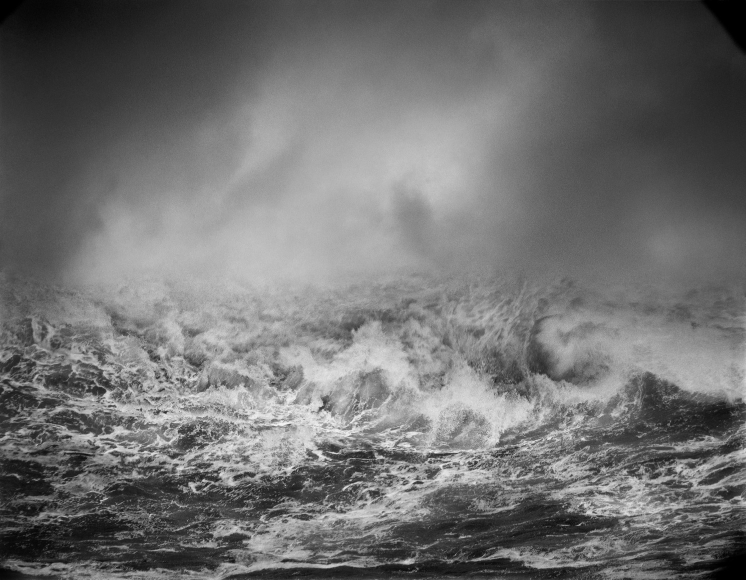 DoDo Jin Ming Free Element plate II