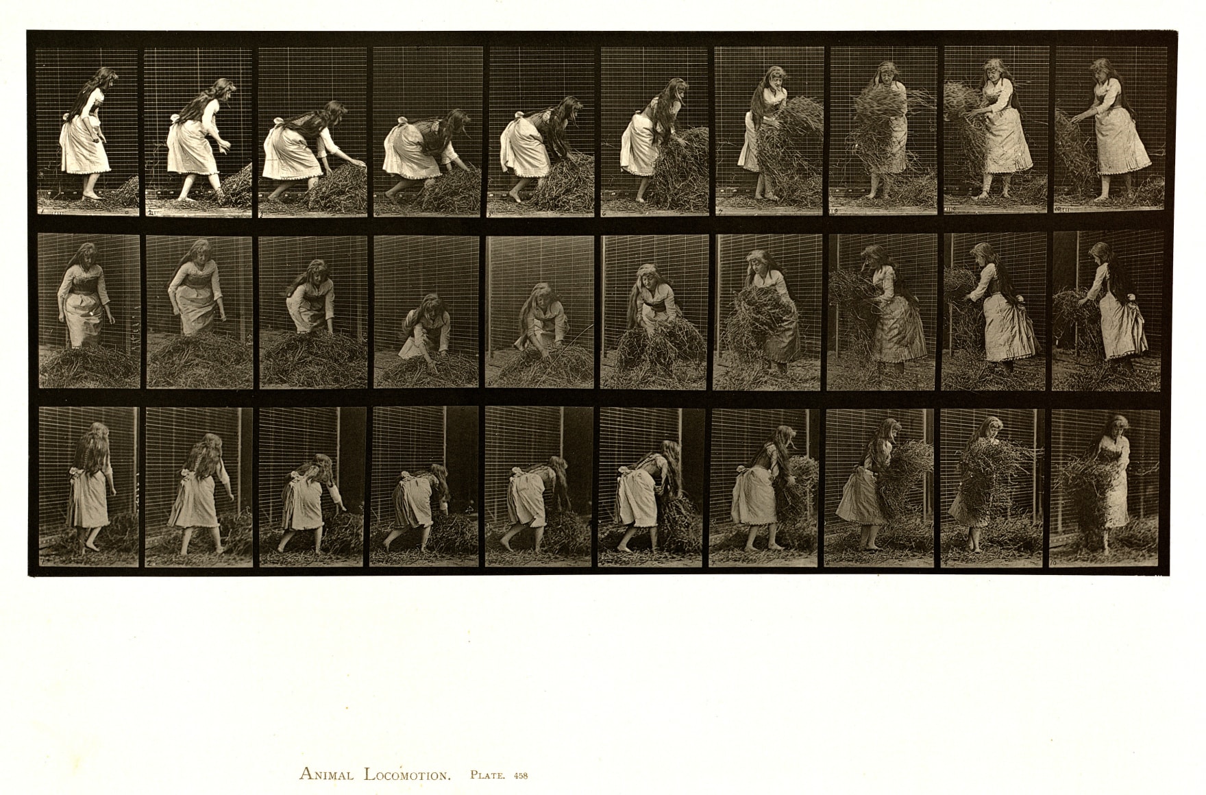 Sequence of black and white photos showing the movements of a man lifting handfuls of hay and putting them down
