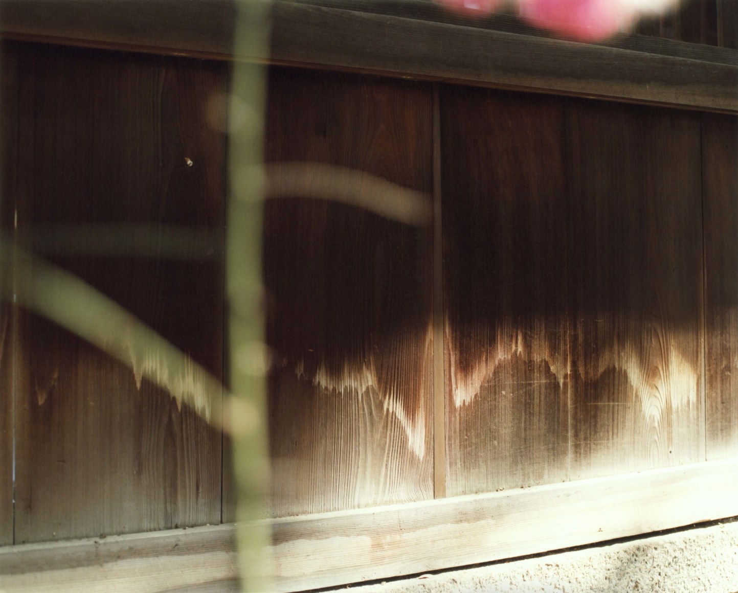 Nagoya City, Aichi Prefecture, 2019