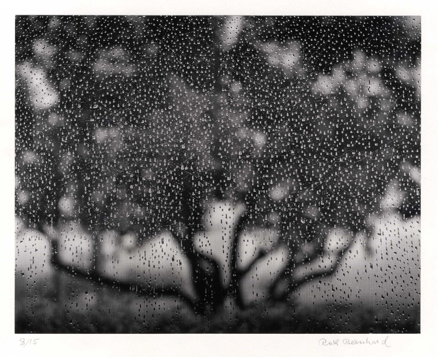 Ruth Bernhard, The Gift of the Commonplace, 1935-1970 (published 1976)