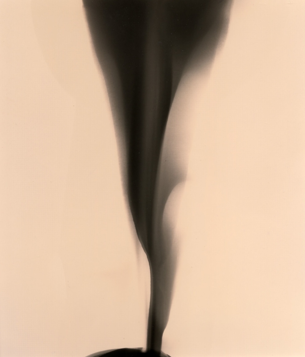 Untitled Photo Chemical Print, 1996 Gelatin silver print