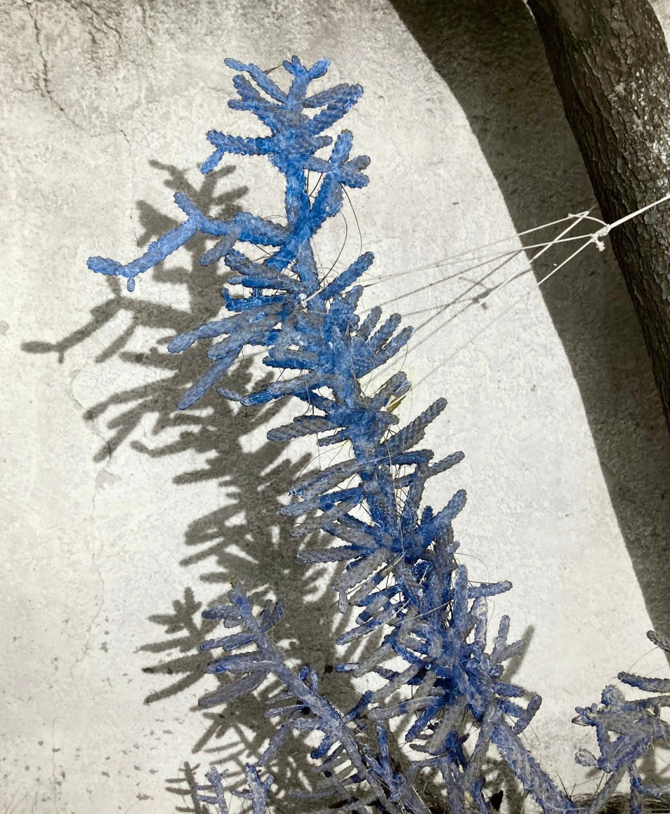 Black and white photo of a cactus, the cactus is painted blue on the print