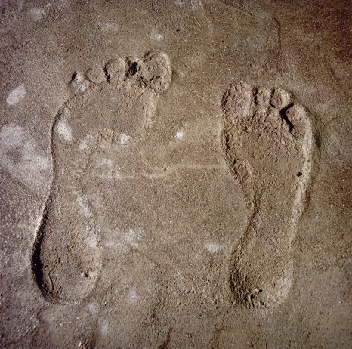 David Graham Feet, Placentia Island, ME, 1995-96