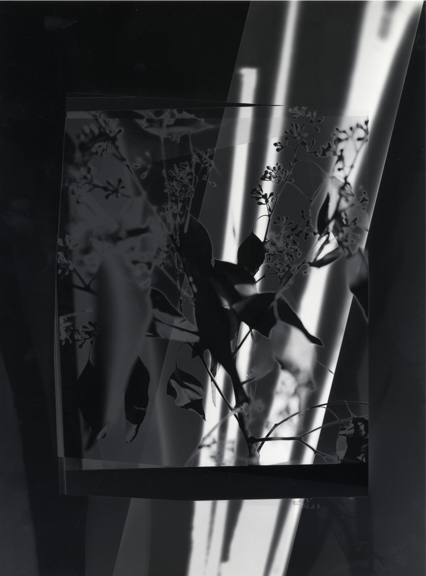 Solarization, 1993 Gelatin silver print
