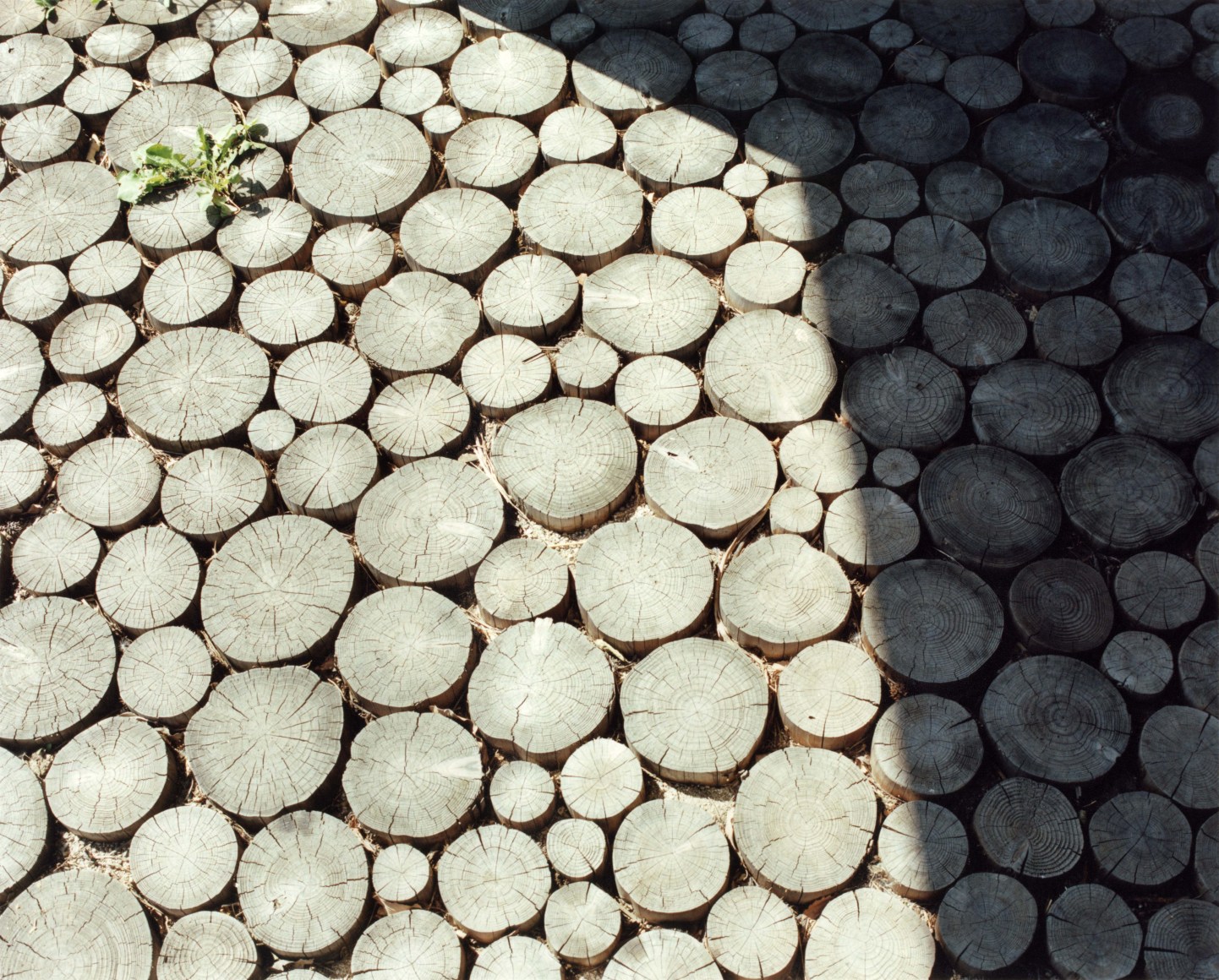 Yoko Ikeda Takayama City, Gifu Prefecture 2013