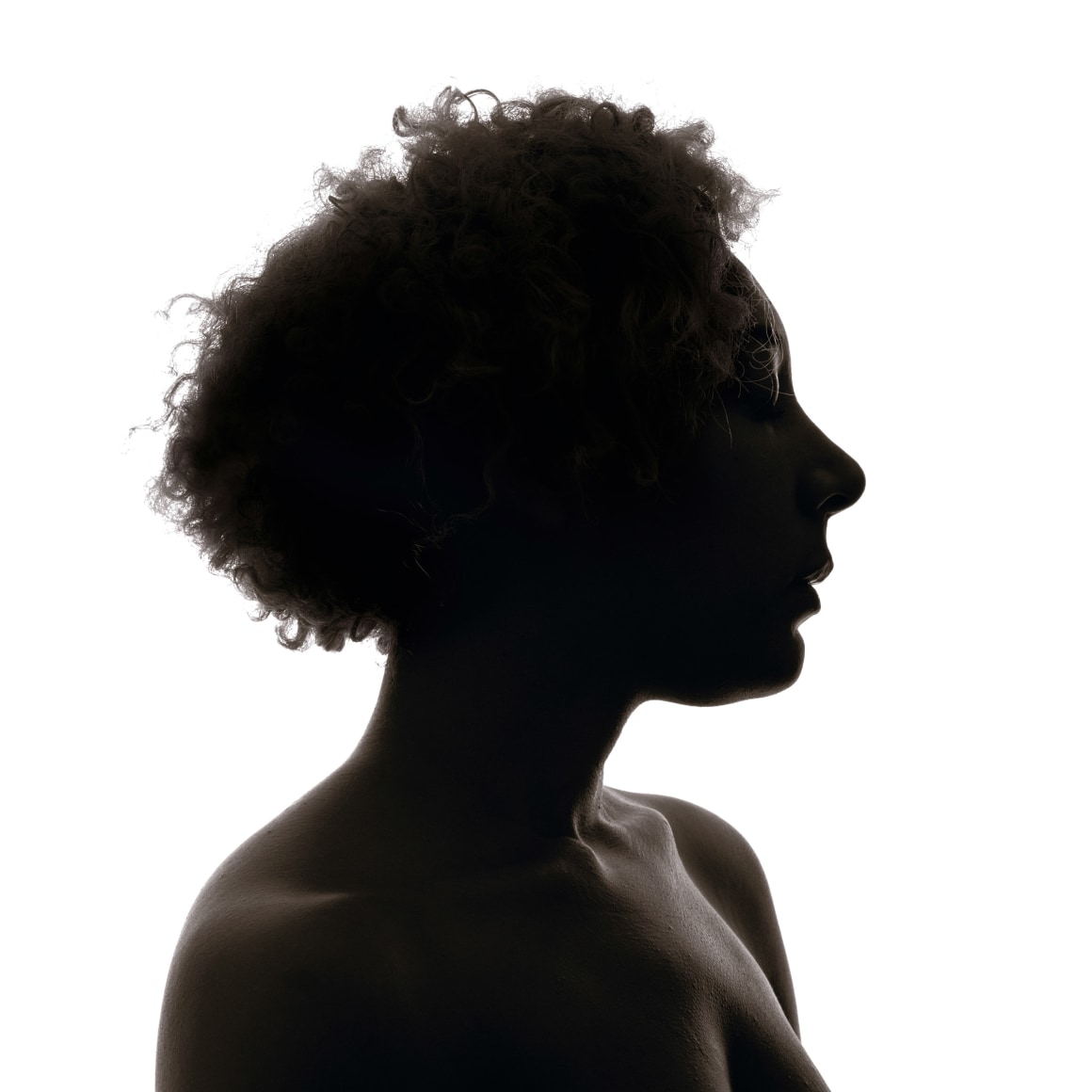 Erica Deeman Silhouettes