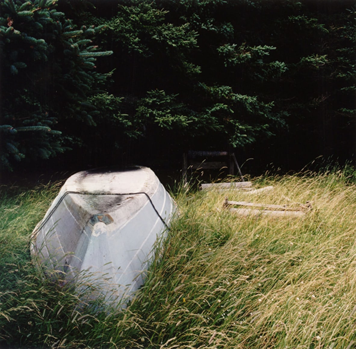 David Graham Dory, Placentia Island, ME, 1995-96