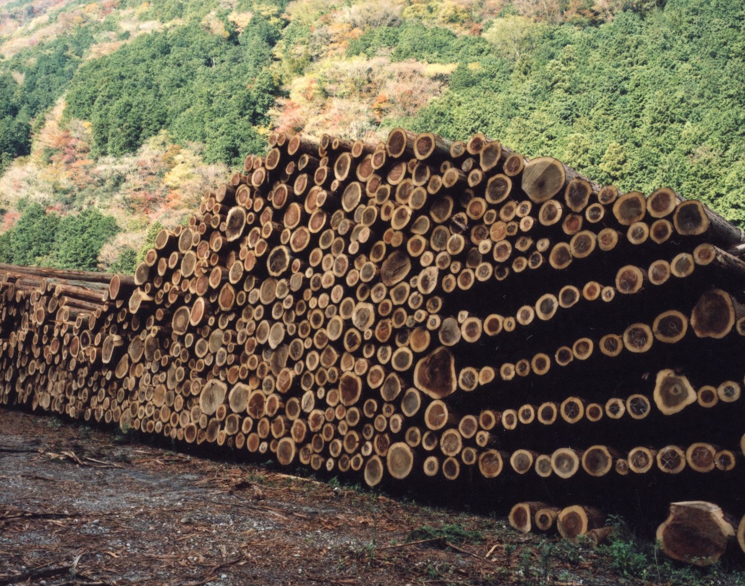 Toshio Shibata  Niihama City, Ehime Prefecture, 2014
