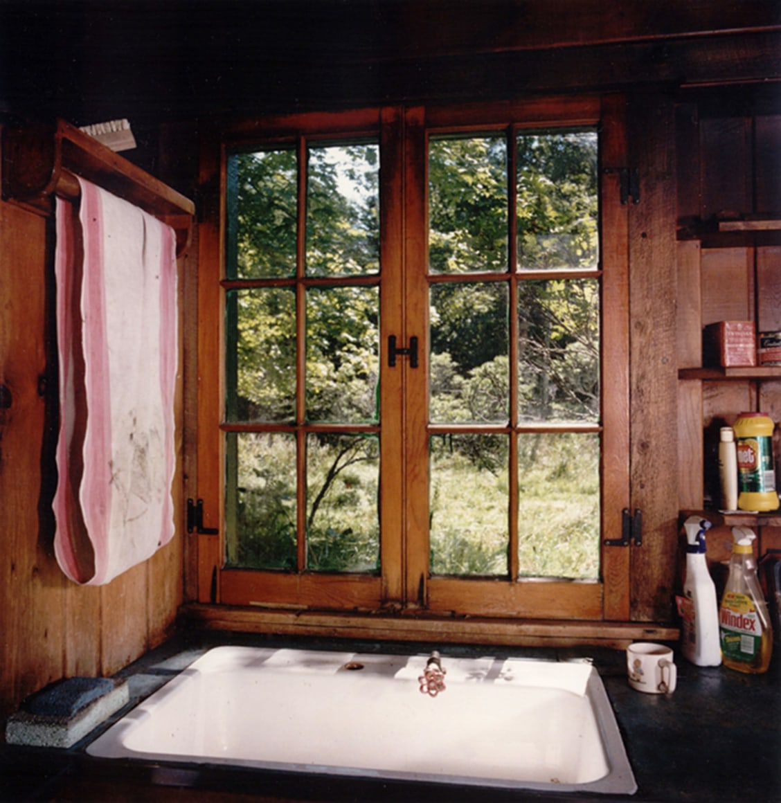 David Graham Sink, Placentia Island, ME, 1995-96
