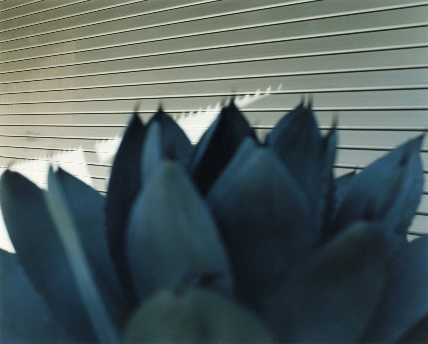 Meguro Ward, Tokyo, 2019