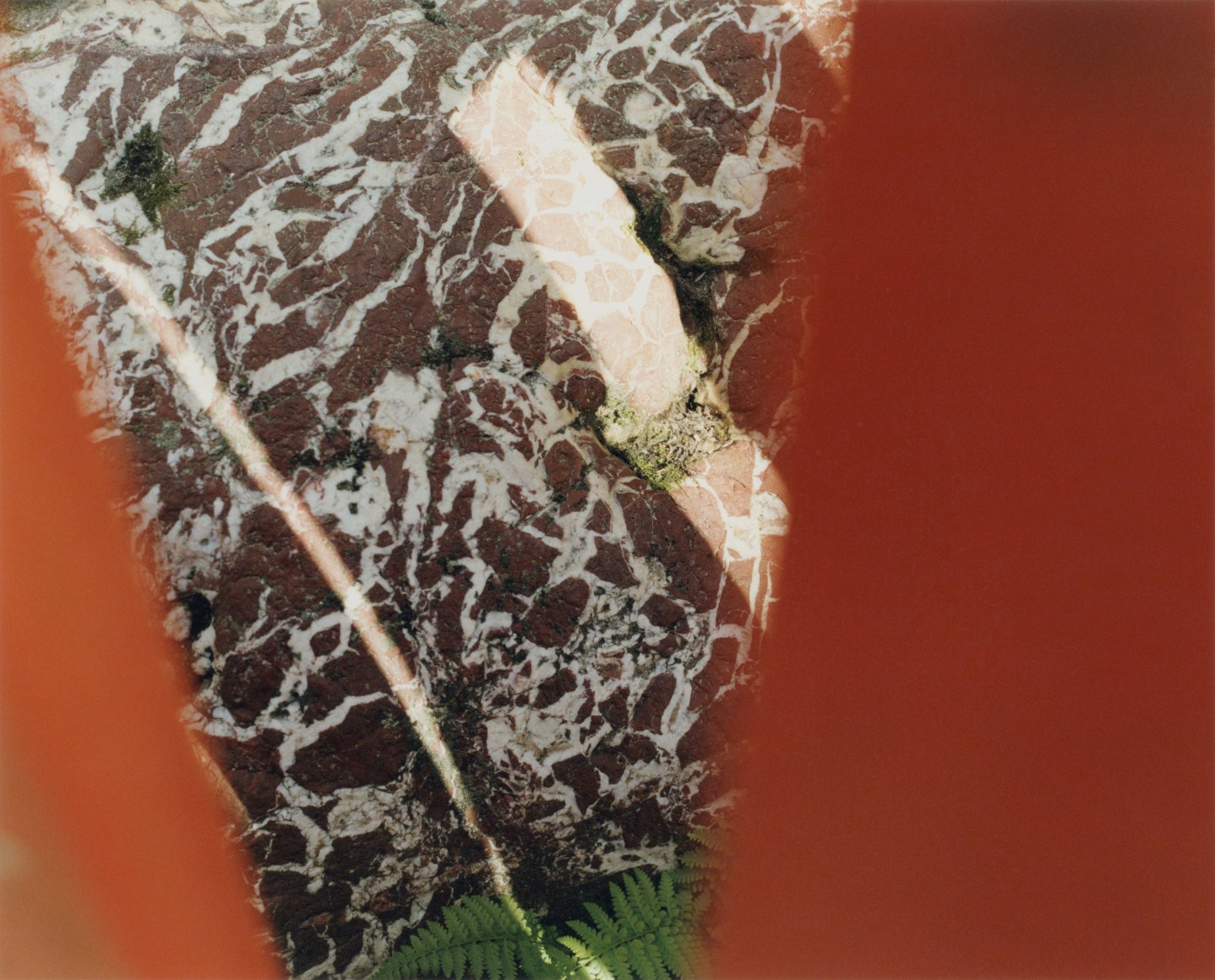 Yoko Ikeda Kyoto City, Kyoto Prefecture 2019 Type-c print