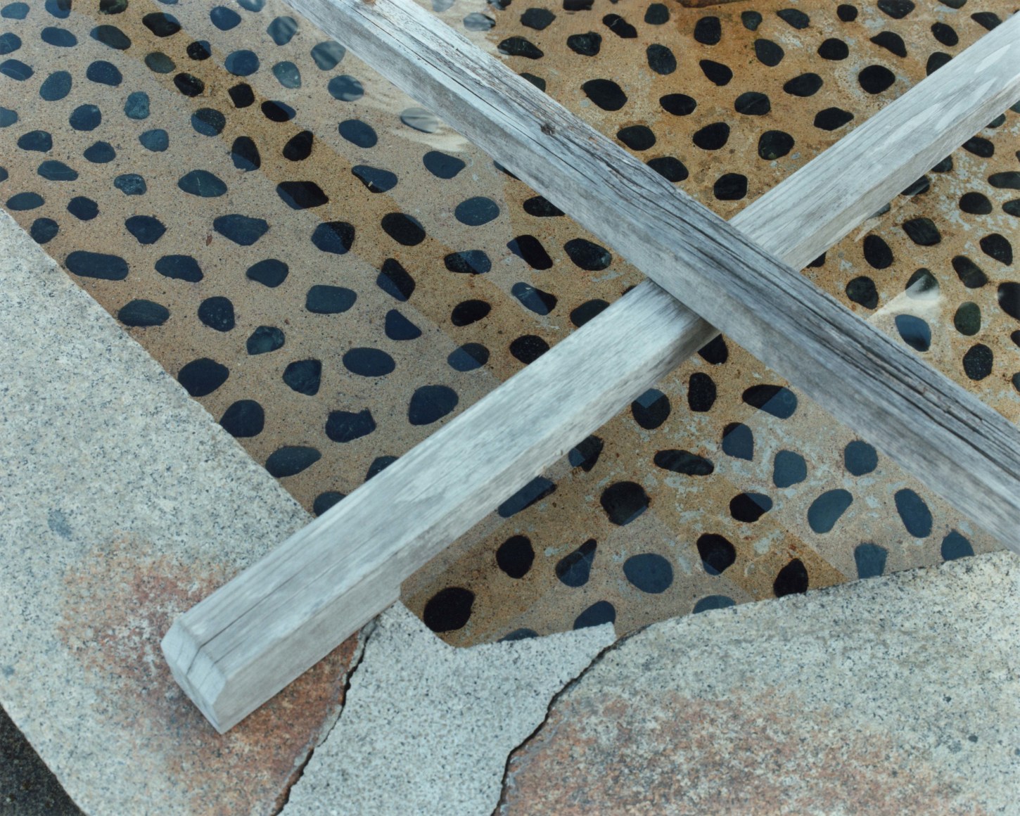 Yoko Ikeda Kyoto City, Kyoto Prefecture 2013