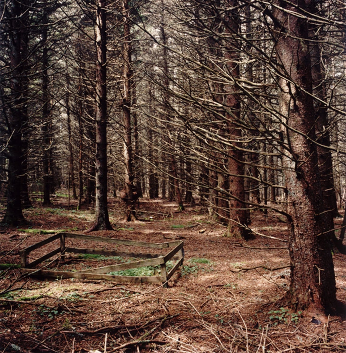 David Graham Woods and Garden, Placentia Island, ME, 1995-96
