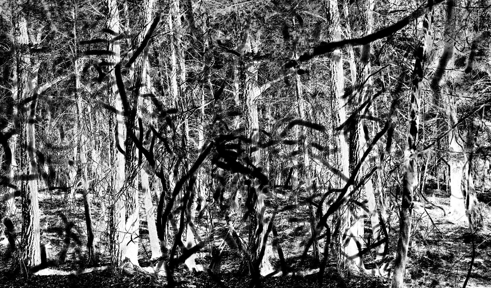 The Sky Inside II, 2013