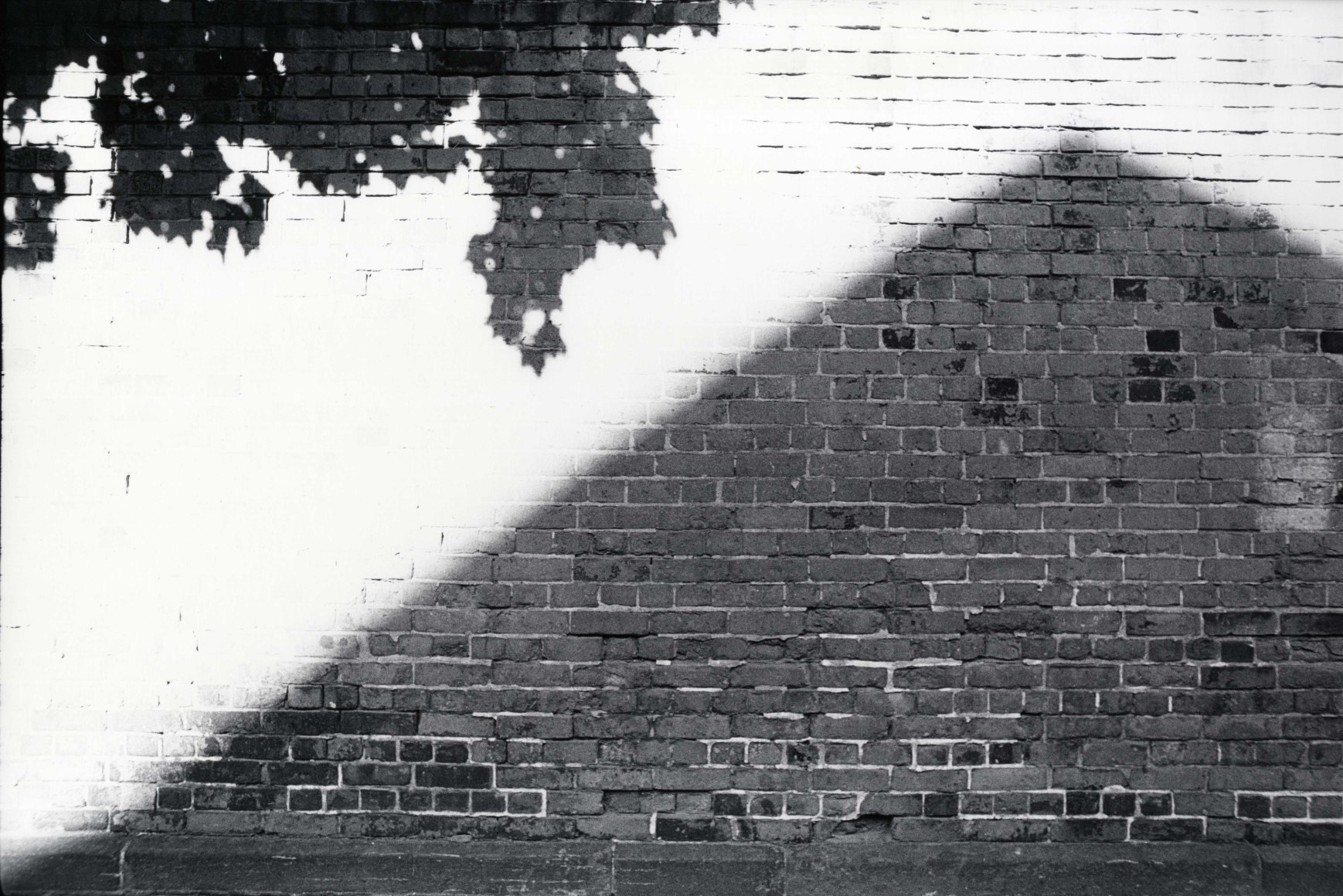 Christopher Rauschenberg New York  1973