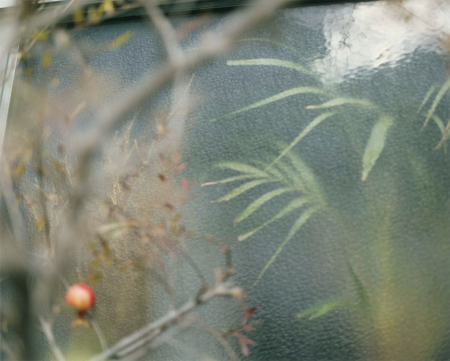 Color photo of out of focus foliage in front of a ceramic glazed surface