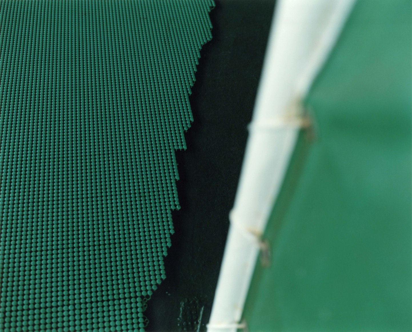 Tokushima City, Tokushima Prefecture, 2019