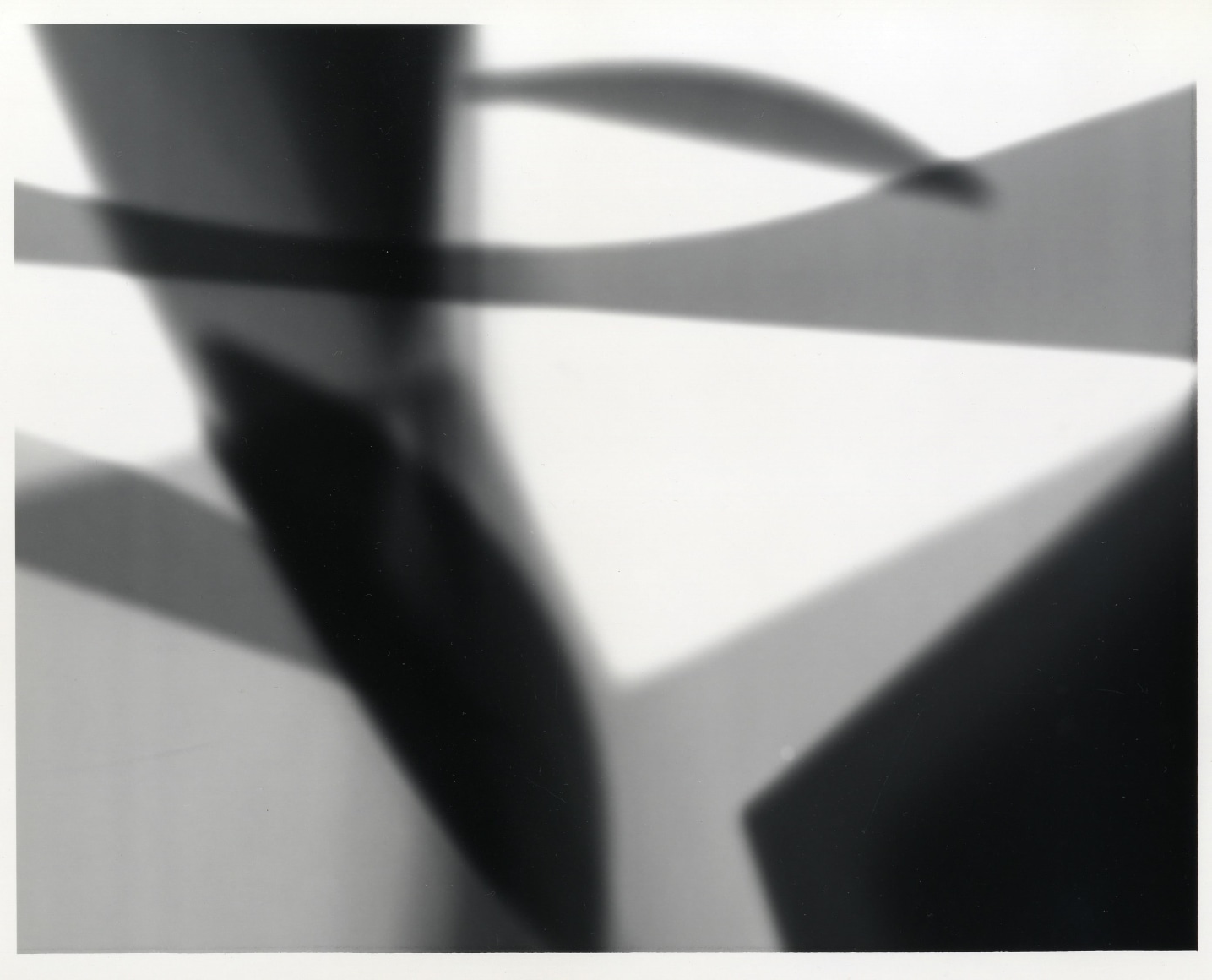 Unittitled Photogram, 1959 Gelatin silver print