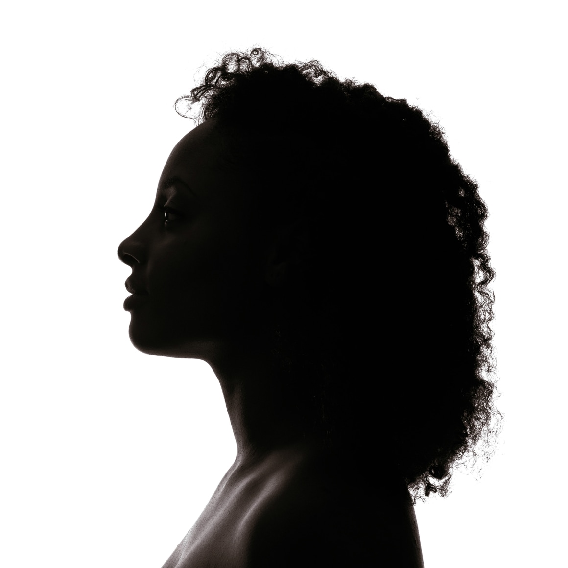 Erica Deeman Silhouettes