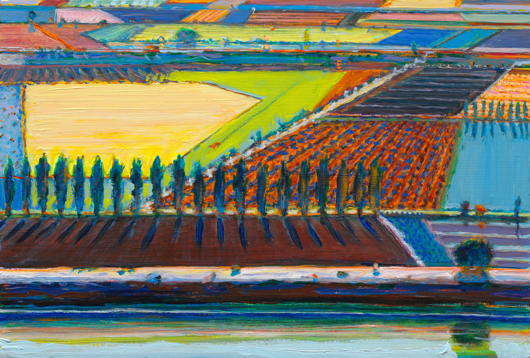 Big Field