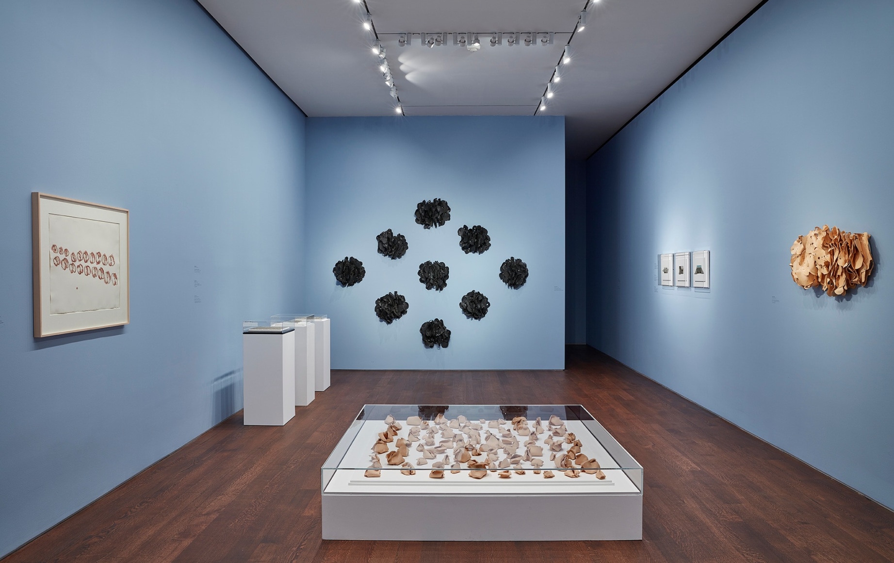 Installation view of Hesse / Wilke