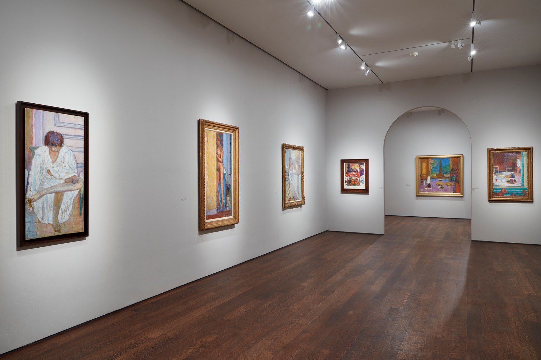 Bonnard Installation View