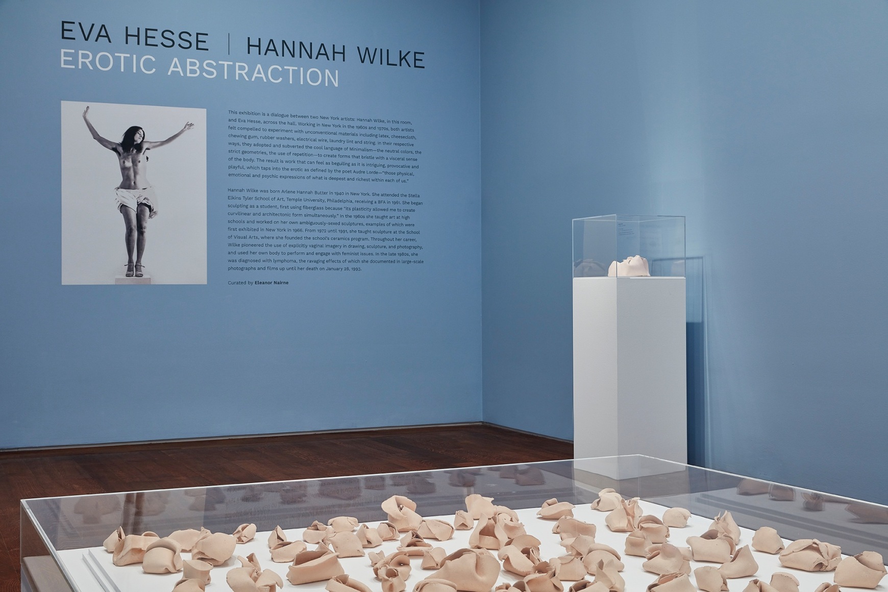 Installation view of Hesse / Wilke