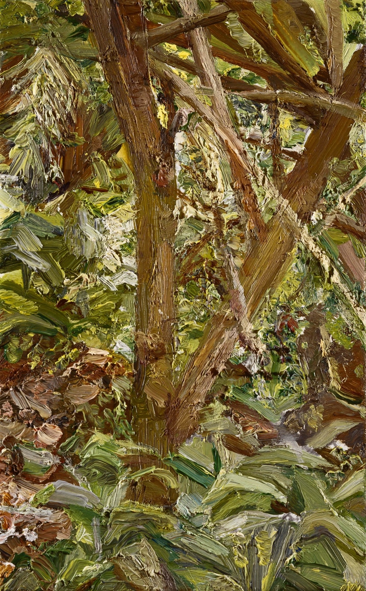 Lucian Freud, Small Garden, 1997