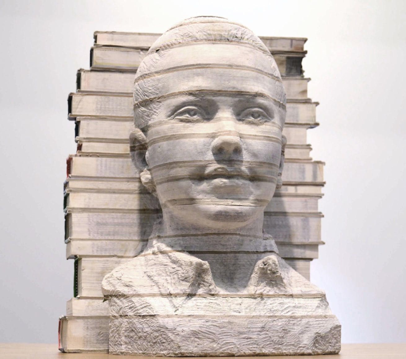 Li_Hongbo_Absorption_No_4_Books_23x34.5x28cm_2015