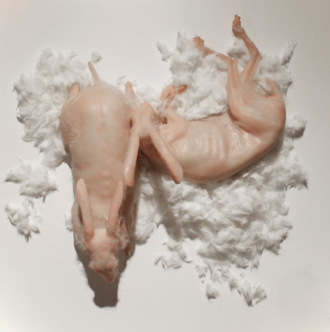 Shen_Shaomin_I_Sleep_On_Top_of_Myself_Rabbits_silica_gel_simulation_motor_wood_plinth_fur_40x70x70cm_20121