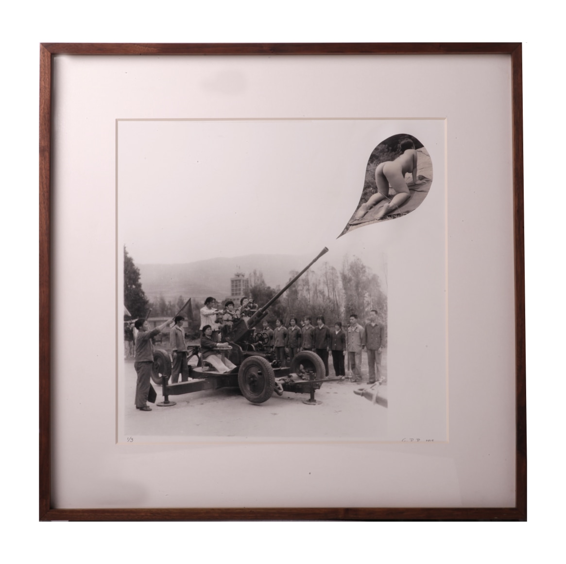 The Association of the Cannon