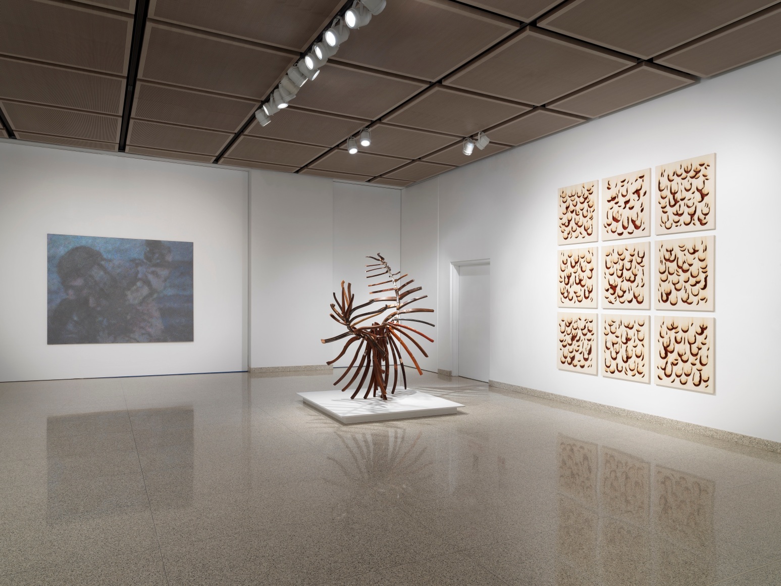 &quot;The Roaming Eye&quot; Installation Photo