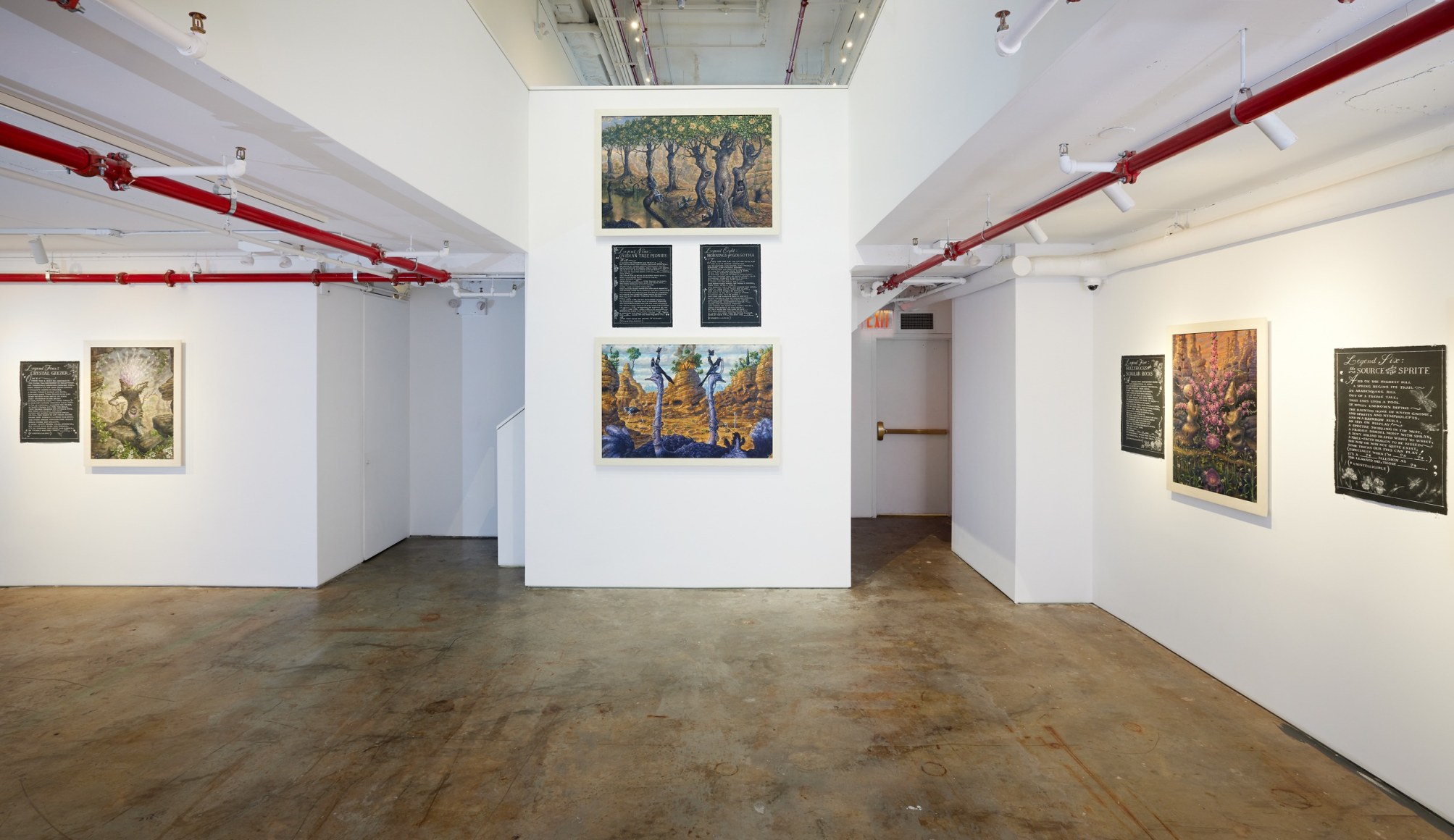 Installation image of drawings by Thomas Woodruff