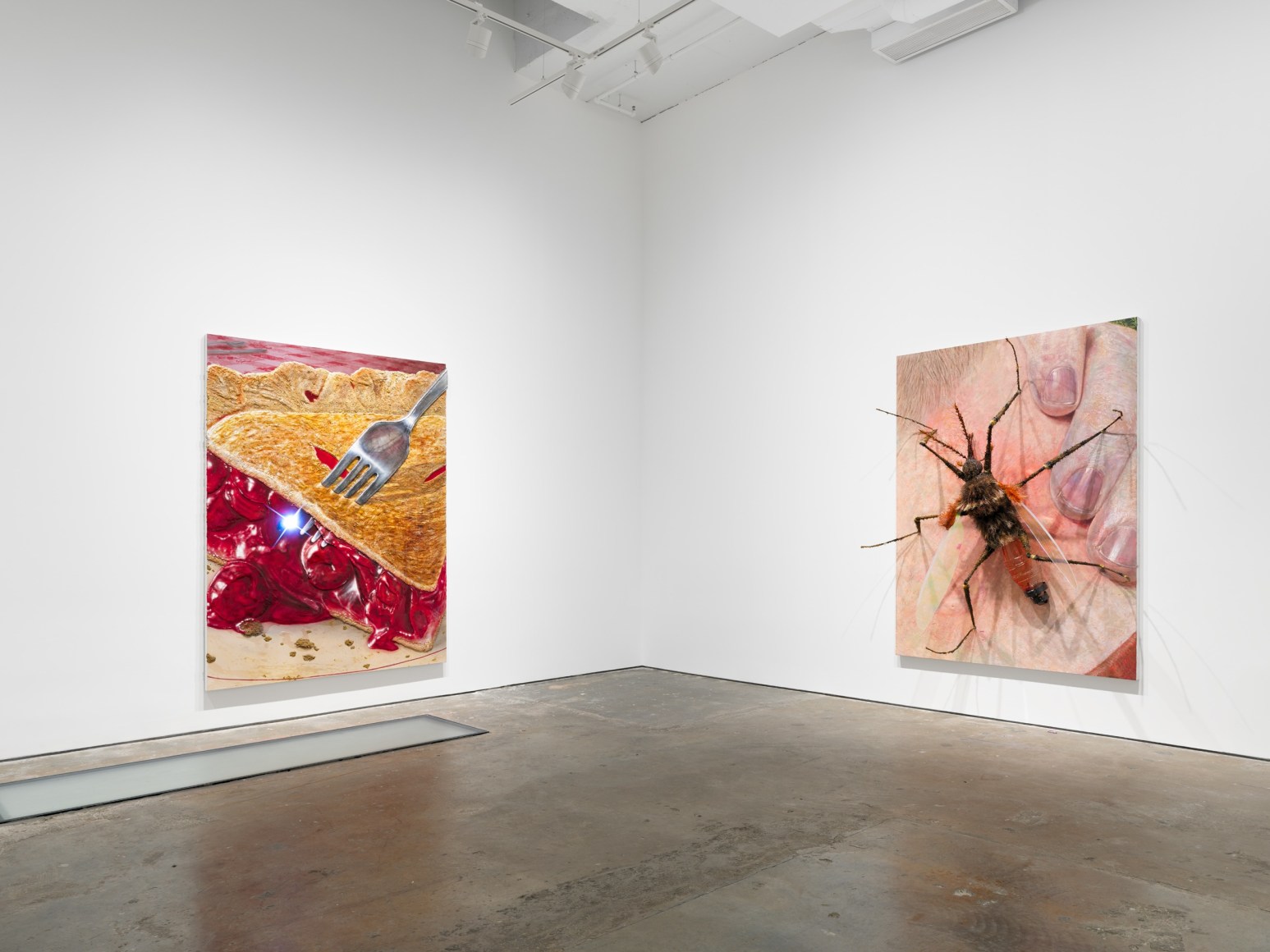 Installation view: Trey Abdella, Under the Skin, Vito Schnabel Gallery, New York, NY, 2023; Artwork © Trey Abdella; Photo by Shark Senesac; Courtesy the artist and Vito Schnabel Gallery