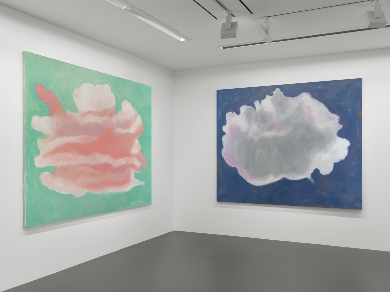 Installation view: Francesco Clemente Clouds