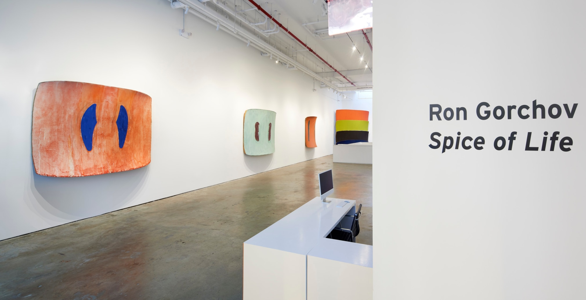Installation view: Ron Gorchov,&nbsp;Spice of Life,&nbsp;Vito Schnabel Gallery, New York; Artworks &copy; Ron Gorchov / Artists Rights Society (ARS), New York,&nbsp;Photo by Argenis Apolinario; Courtesy the artist and Vito Schnabel Gallery